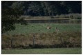 bernard_b brenne sept 2017 1